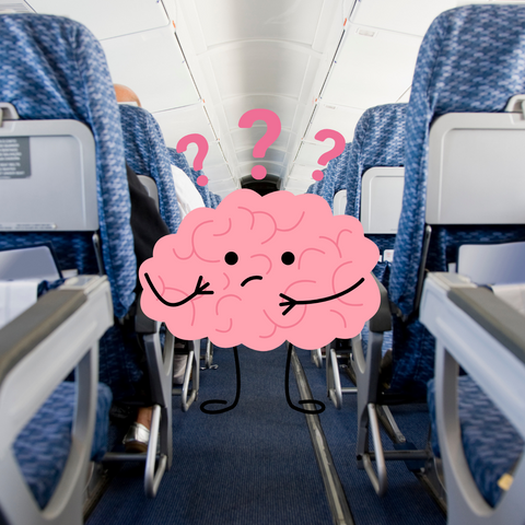A Definitive Answer: Do Compression Socks on a Flight Actually Make a Difference